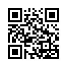 QR CODE 31