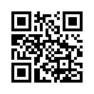 QR CODE 394