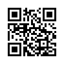 QR CODE 913