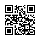 QR CODE 993