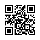 QR CODE 317