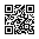 QR CODE 461