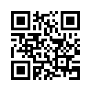 QR CODE 42