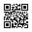 QR CODE 53