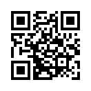 QR CODE 110