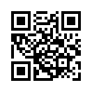 QR CODE 133