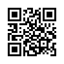 QR CODE 28