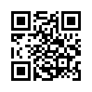 QR CODE 31