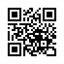 QR CODE 196