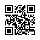 QR CODE 41