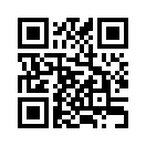 QR CODE 58