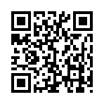 QR CODE 28