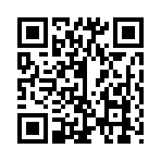 QR CODE 33