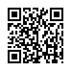 QR CODE 35