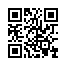 QR CODE 317
