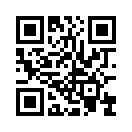 QR CODE 513