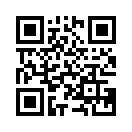 QR CODE 519