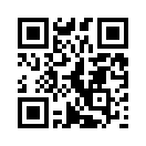QR CODE 538