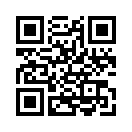 QR CODE 133