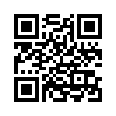 QR CODE 31