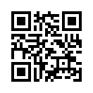 QR CODE 13