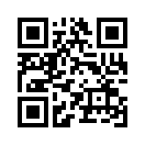 QR CODE 207