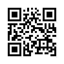 QR CODE 221