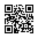 QR CODE 228