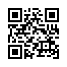 QR CODE 229