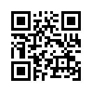 QR CODE 231