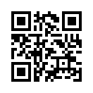 QR CODE 24