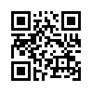 QR CODE 290