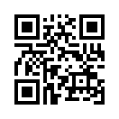 QR CODE 291