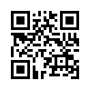 QR CODE 295