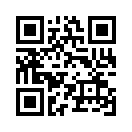 QR CODE 306
