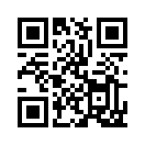 QR CODE 309