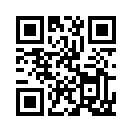 QR CODE 313