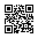QR CODE 316
