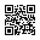 QR CODE 318
