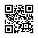 QR CODE 319