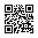 QR CODE 323