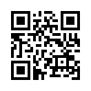QR CODE 329