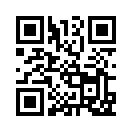 QR CODE 33