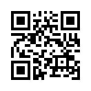 QR CODE 331