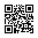 QR CODE 333
