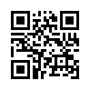 QR CODE 341