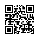 QR CODE 342