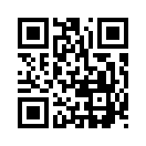 QR CODE 343