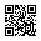 QR CODE 355