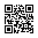 QR CODE 366